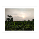 Never Ending Journey (Print Only) thumbnail