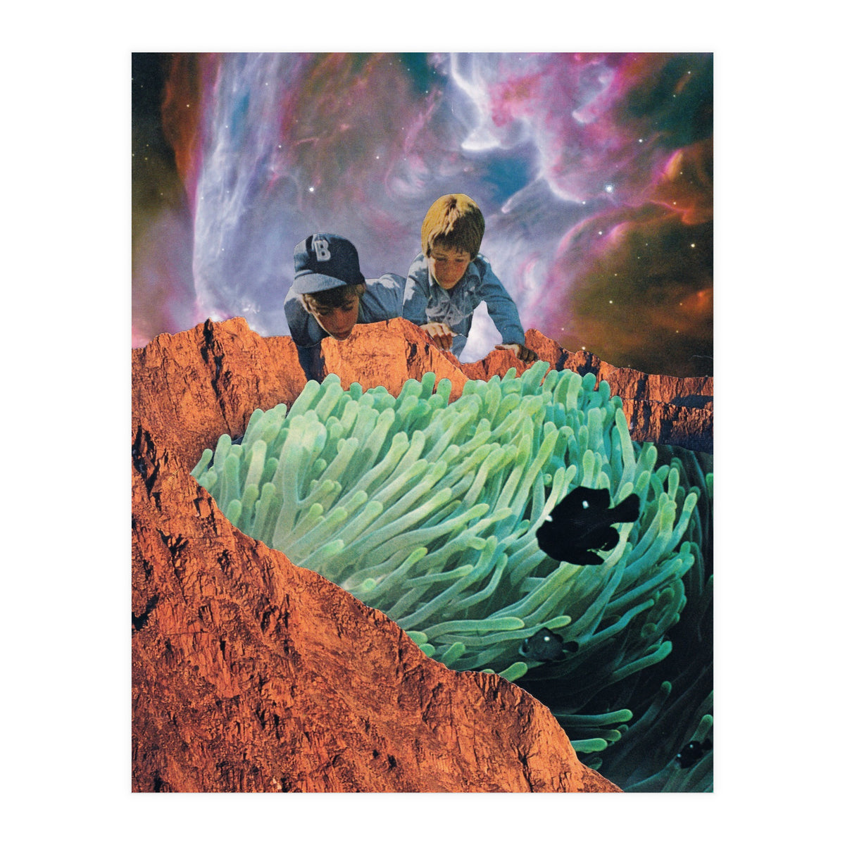 Blackfish (Print Only)