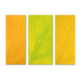Autumn Leaves (Print Only) thumbnail