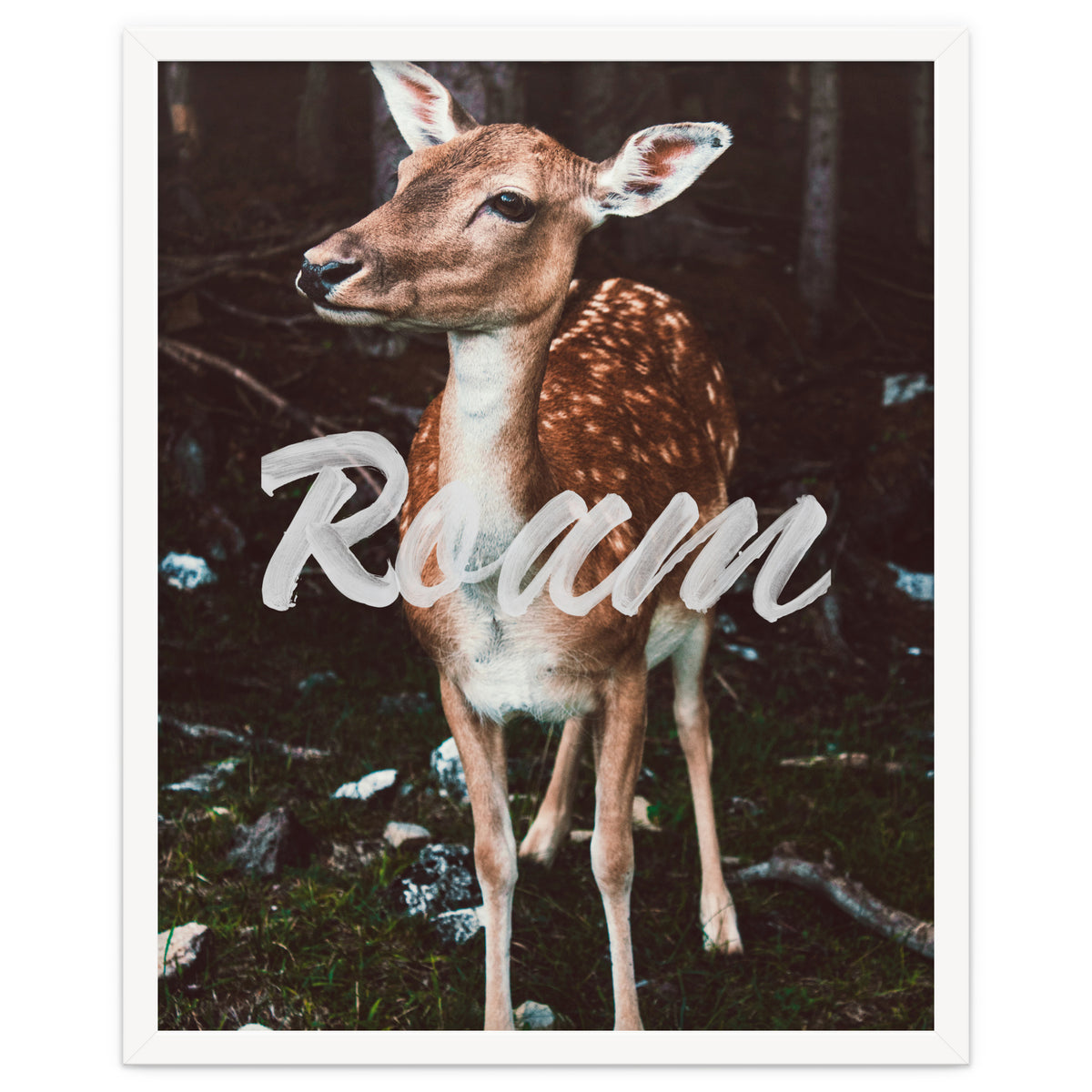Roam