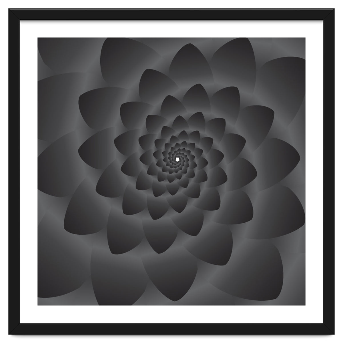 3 D Modern Black Floral