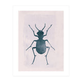 Beetle 1 (Print Only) thumbnail