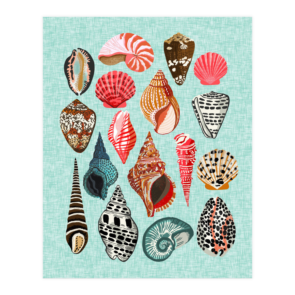 Seashells (Print Only)