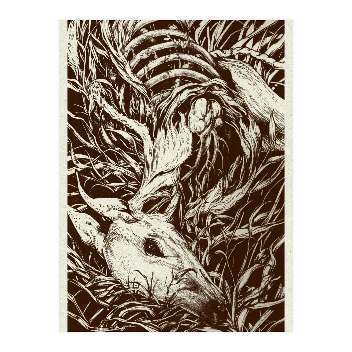 Doeeyed (Print Only)