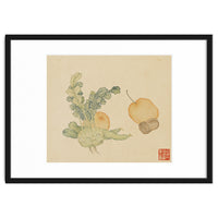 Wang Chengpi ~flowers And Vegetables, Vegetables, Fruits, Epiphyllum, Pears, Peppers