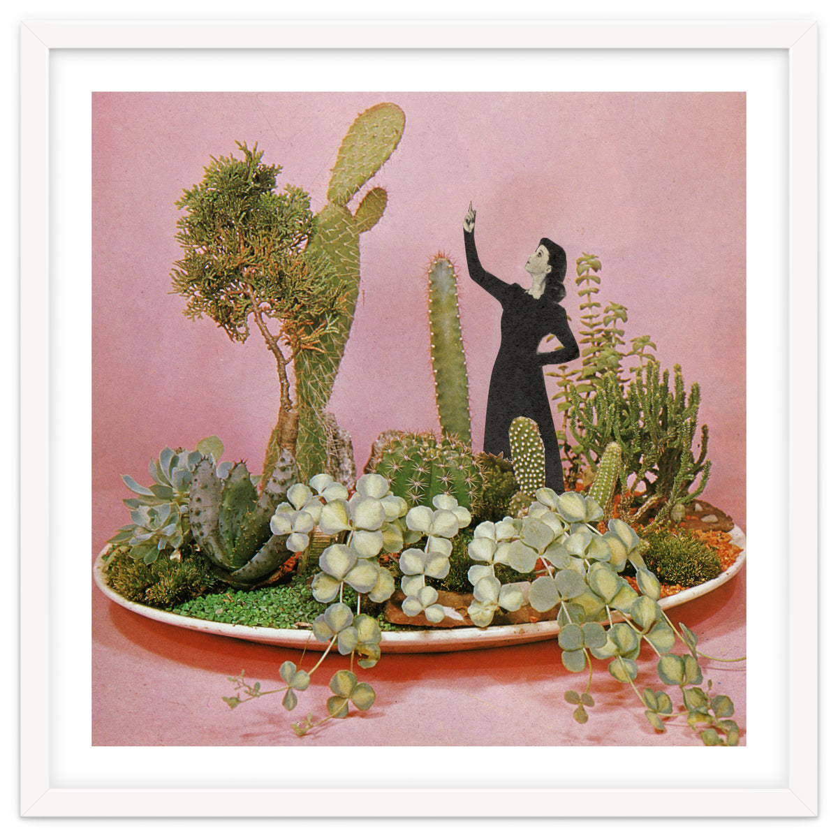 The Wonders Of Cactus Island