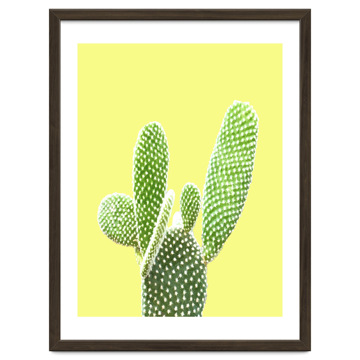 Cactus Yellow Background