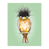 Brahminy starling (Print Only) thumbnail