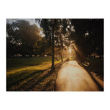 The Panhandle (Print Only) thumbnail