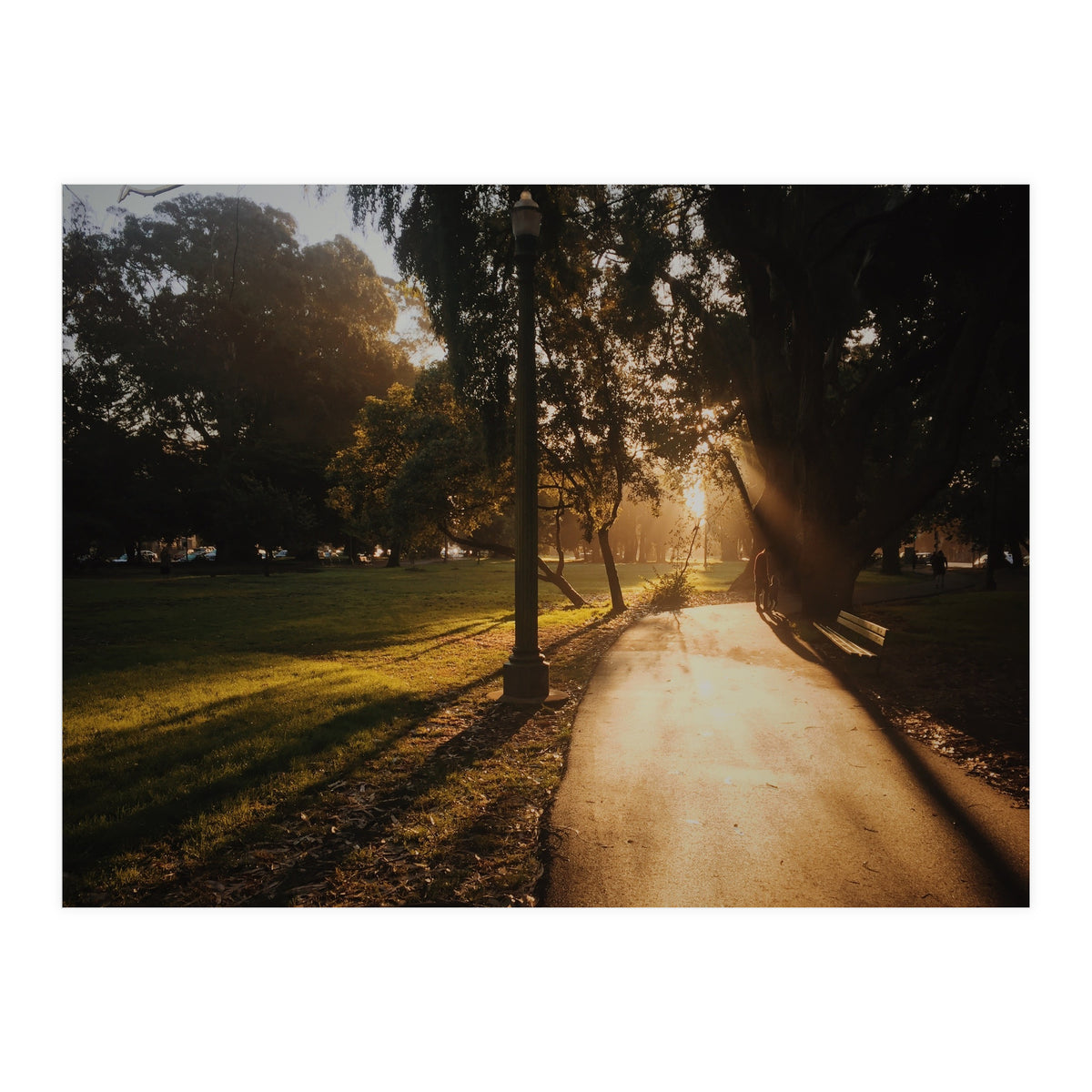 The Panhandle (Print Only)