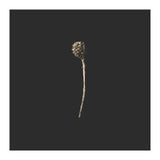 Simple Golden Botanical - Square (Print Only) thumbnail