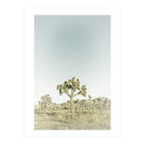 Vintage Joshua Tree  (Print Only) thumbnail