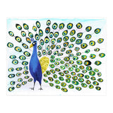 Peacock (Print Only) thumbnail
