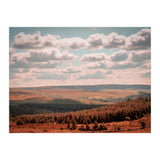 Dartmoor forest (Print Only) thumbnail