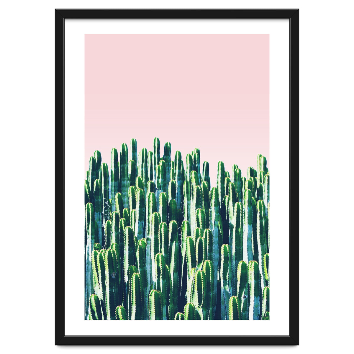 Cactus & Sunset II