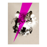 Wolf Rocks (Print Only) thumbnail