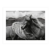 Horses In The Sky (Print Only)