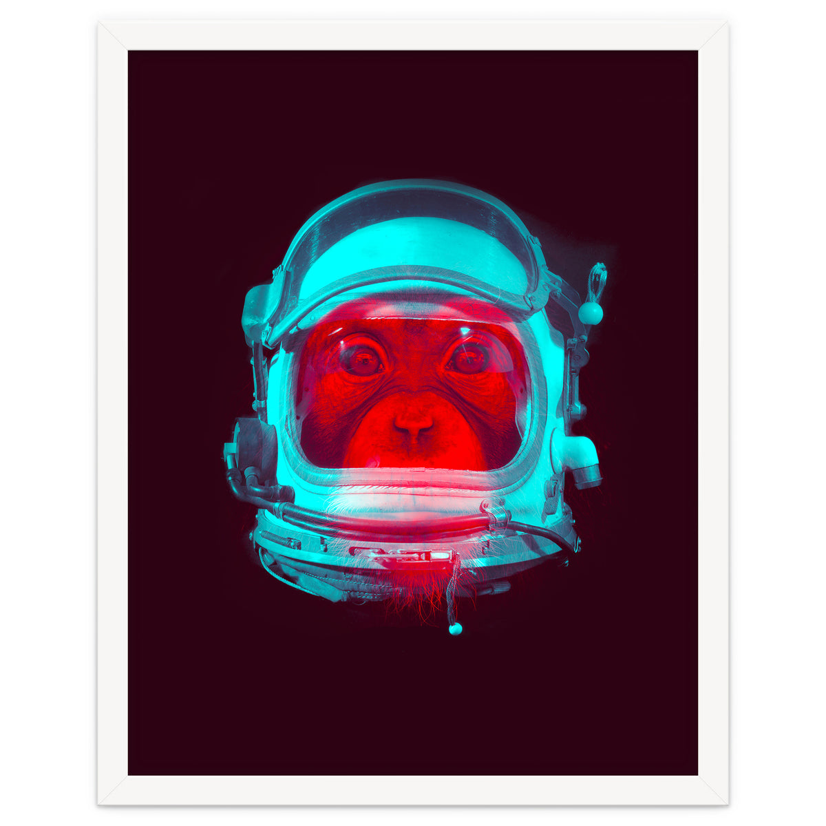 Astronaut
