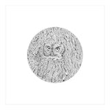 In Plain Sight (Print Only) thumbnail