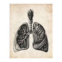Lungs Anatomy (Print Only)
