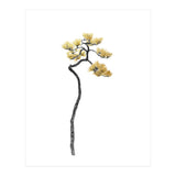 Bonsai Tree 05 (Print Only) thumbnail
