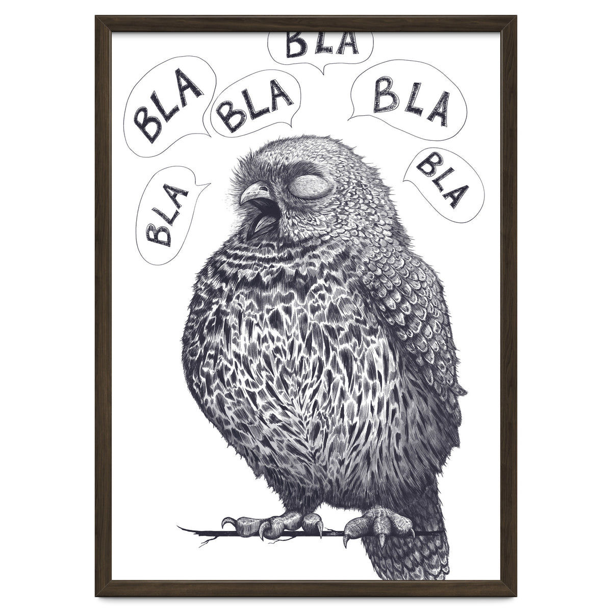 Owl Bla Bla Bla
