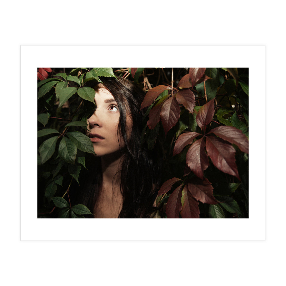 Autumn Portrait (Print Only)