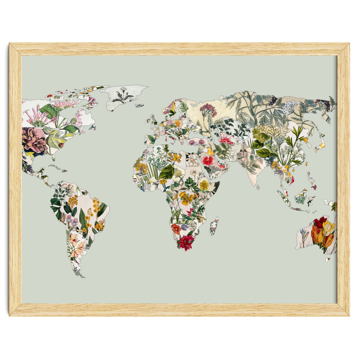 Vintage Botanical Map - Green