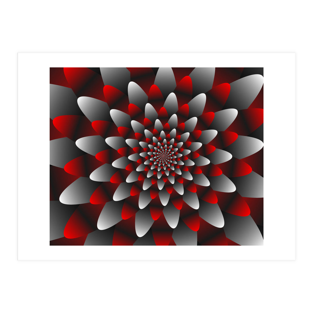 Beautiful Modern Flower Graphics (Print Only)