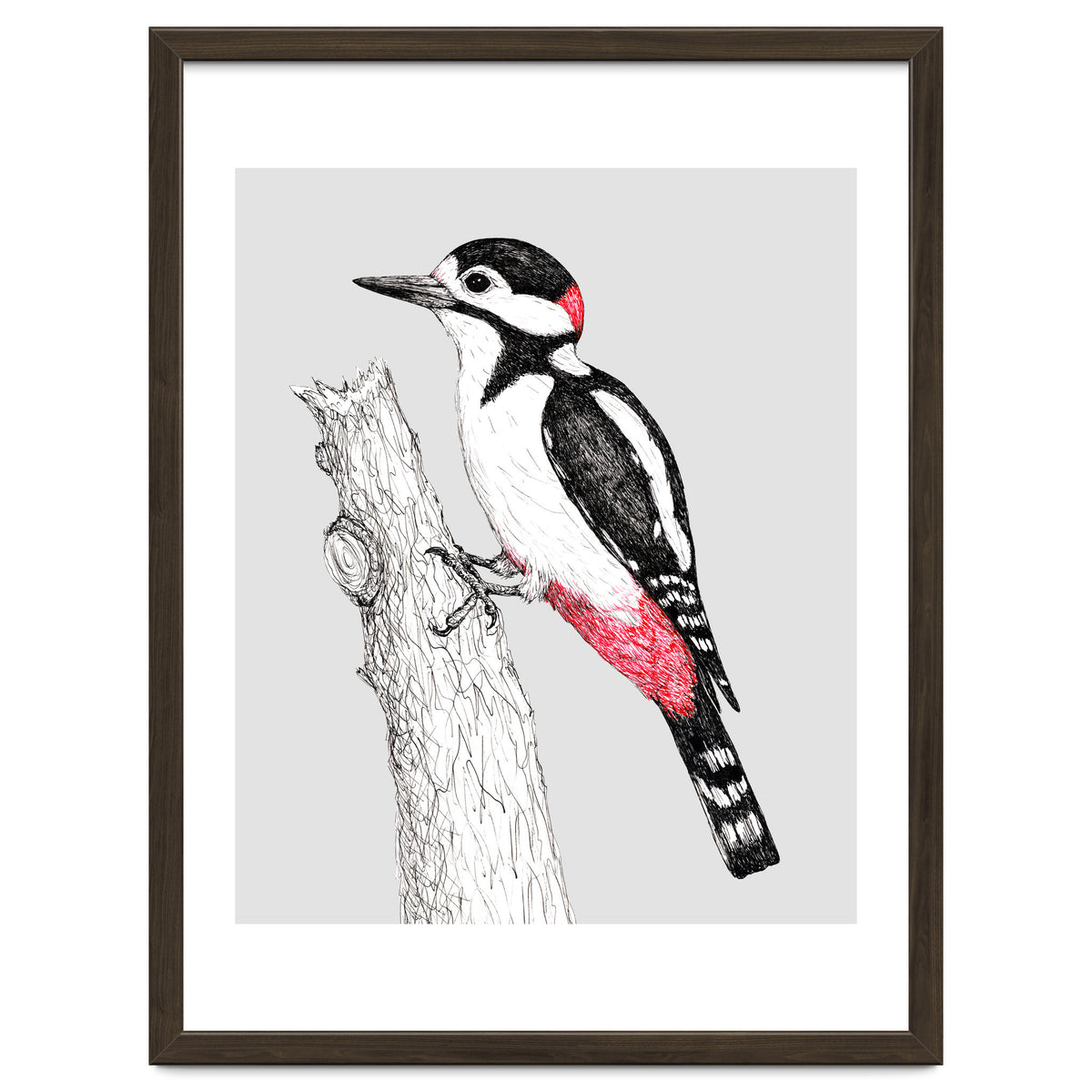 Great spotted woodpecker
