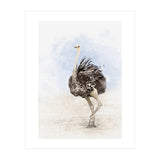 Ostrich (Print Only) thumbnail