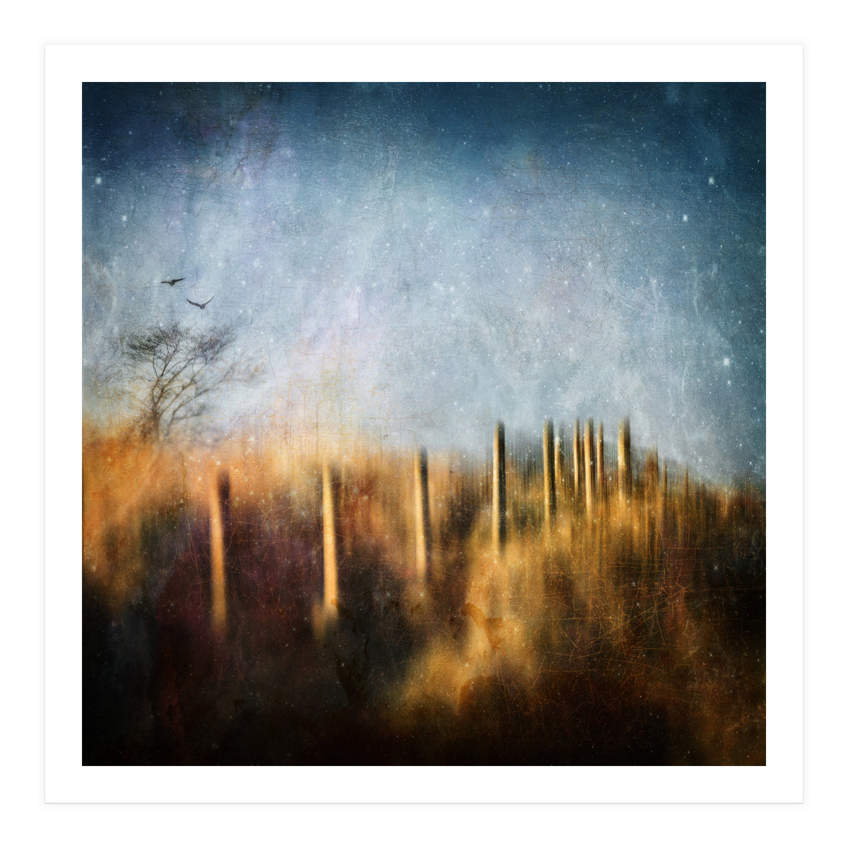 Those Beating Wings (Print Only)