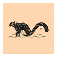 Squirrel (Print Only)