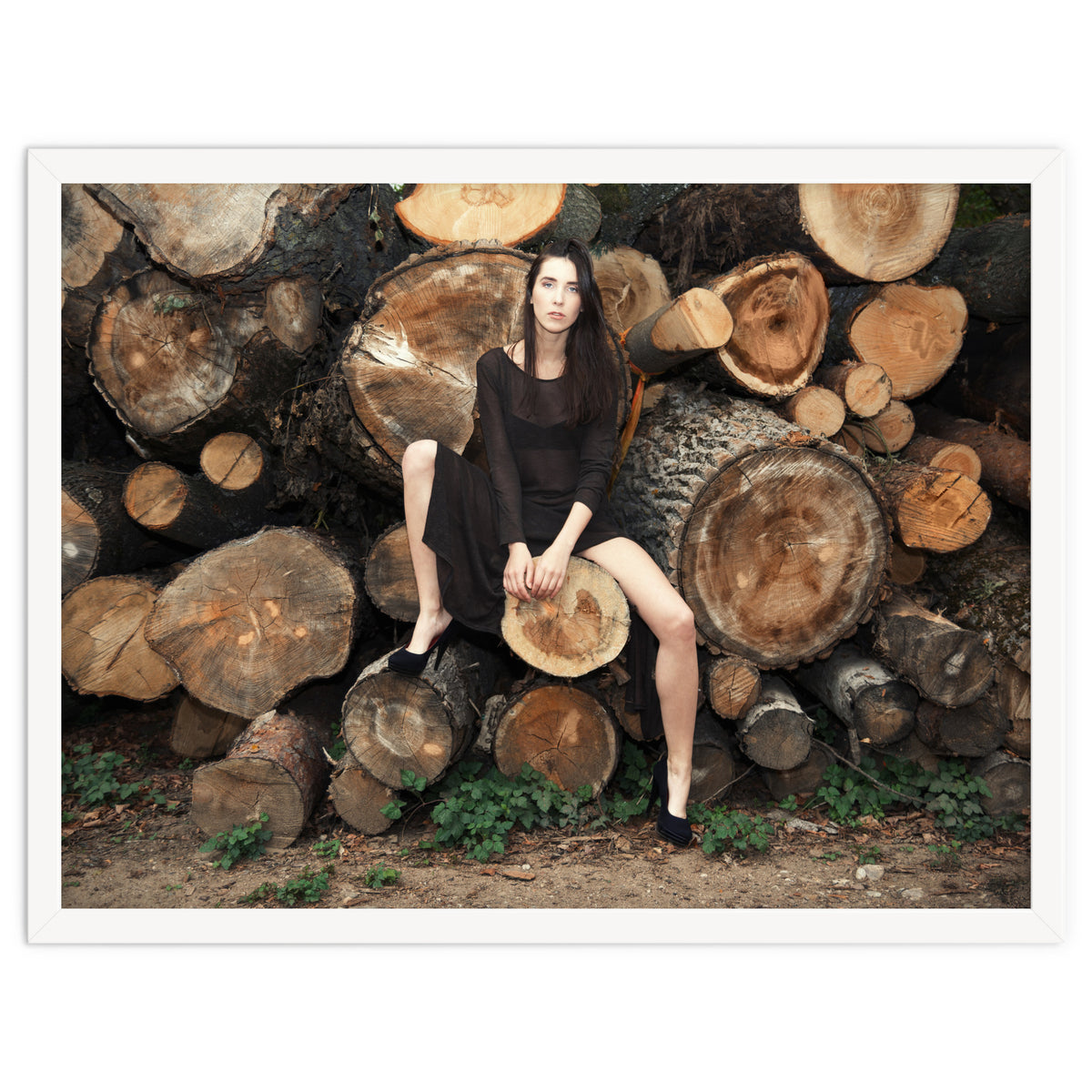 Slow Dancing Society