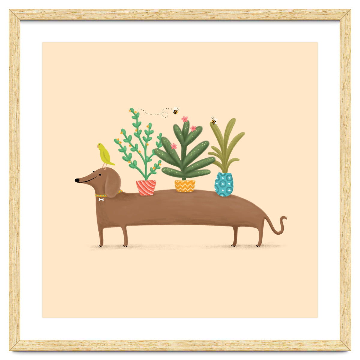 Dachshund And Parrot