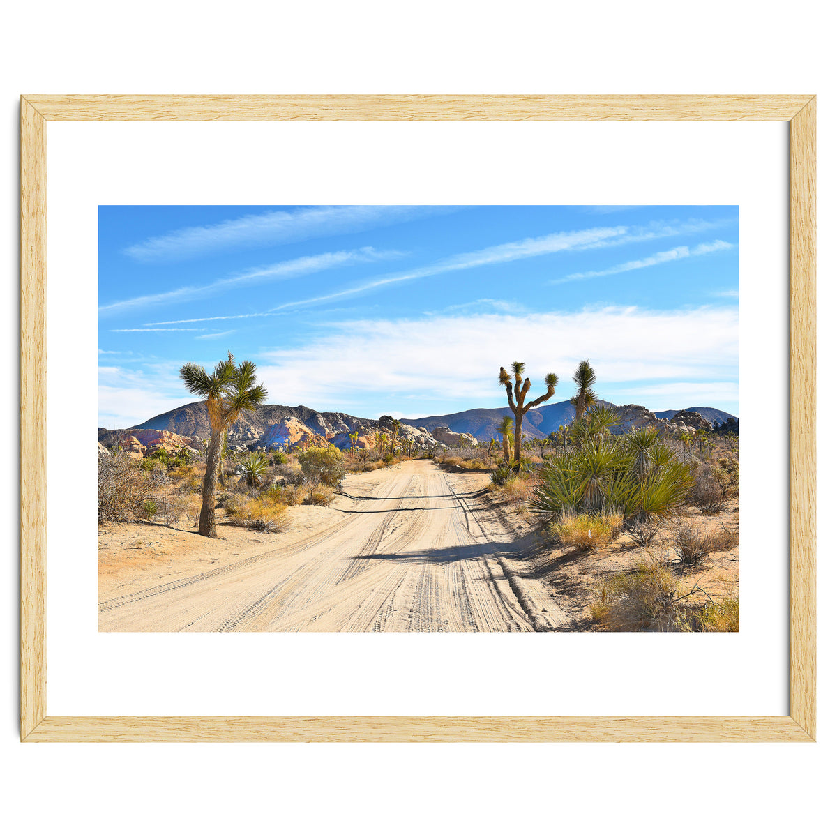 Joshua Tree II