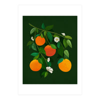 Oranges and Blossoms (Print Only)