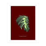 Predator (Print Only) thumbnail