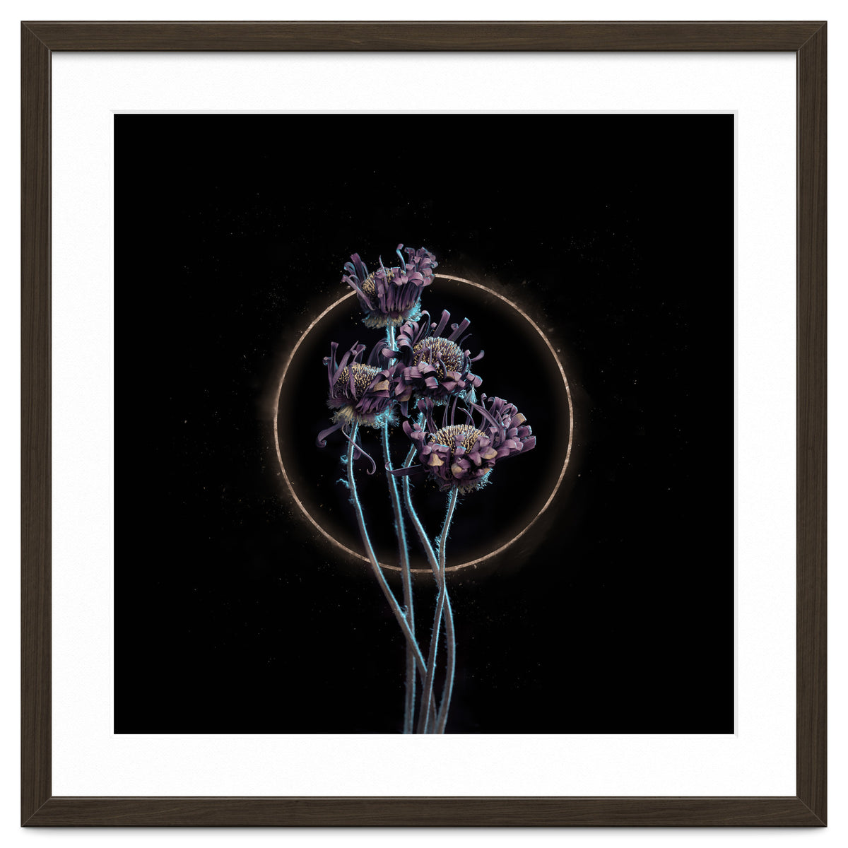 Candy-Coloured Mystery