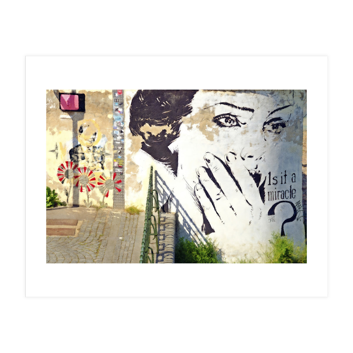 Beauty of decay (Print Only)