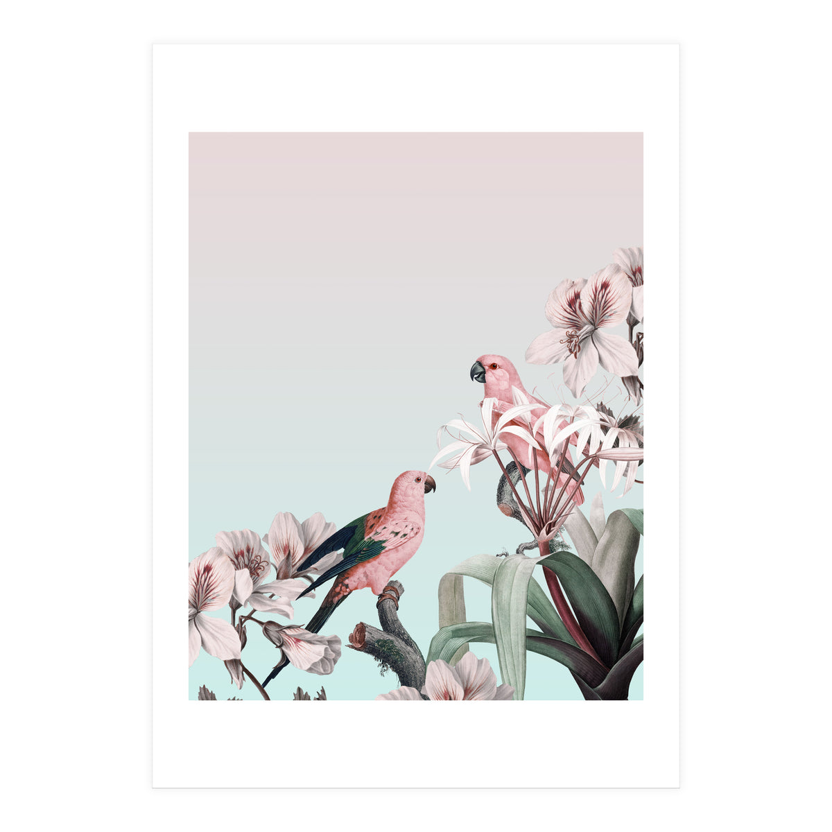 Pastel Parrots Paradise (Print Only)
