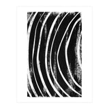 Botanicals Collection No12 (Print Only) thumbnail