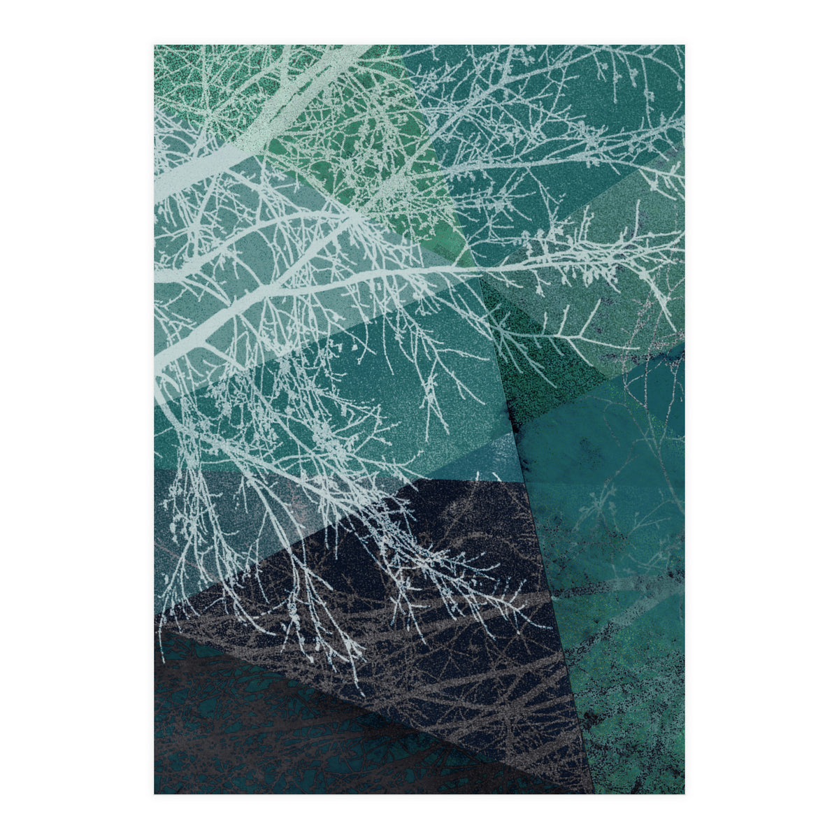 P19 E1 Trees And Triangles (Print Only)