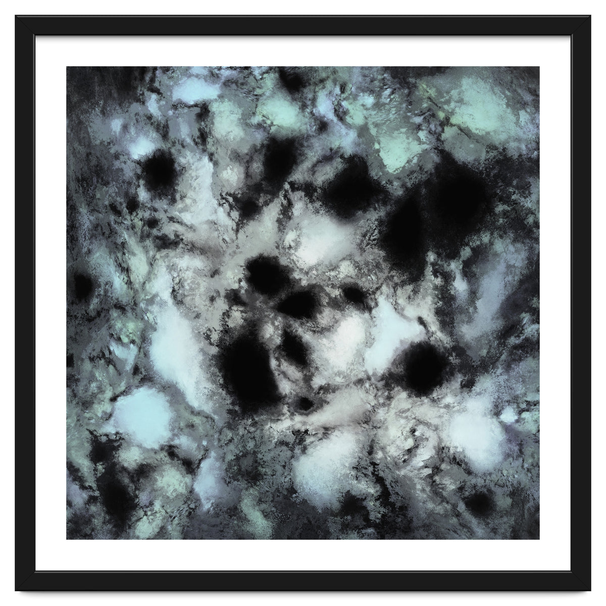 Searching For Animal Tracks