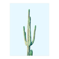 Loner Cactus (Print Only)