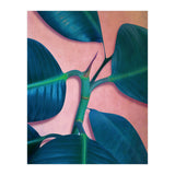 Ficus Elastica (Print Only) thumbnail