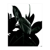 Dark Tree (Print Only) thumbnail