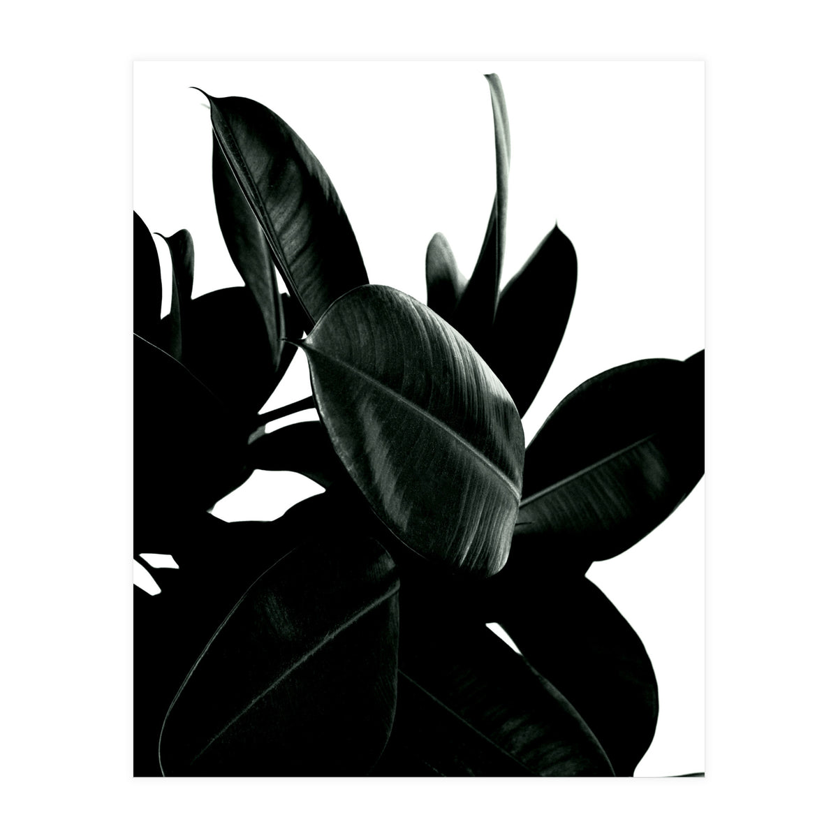 Dark Tree (Print Only)