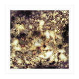 Demolition (Print Only) thumbnail