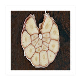 Garlic Italian Cuisine (Print Only) thumbnail